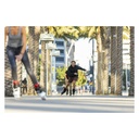 Patines Powerslide Next Core Black 100